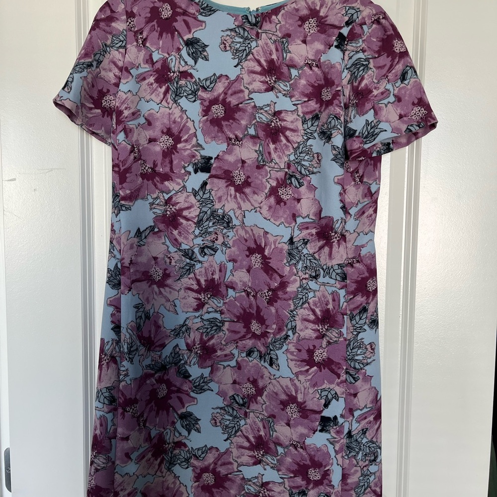Aritzia Purple and Blue Floral Mini Dress
